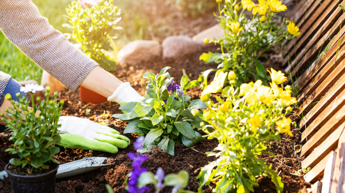 Spring Crops