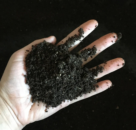 Premium Worm Castings