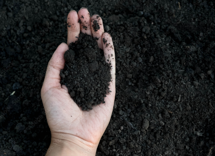 Organic Compost